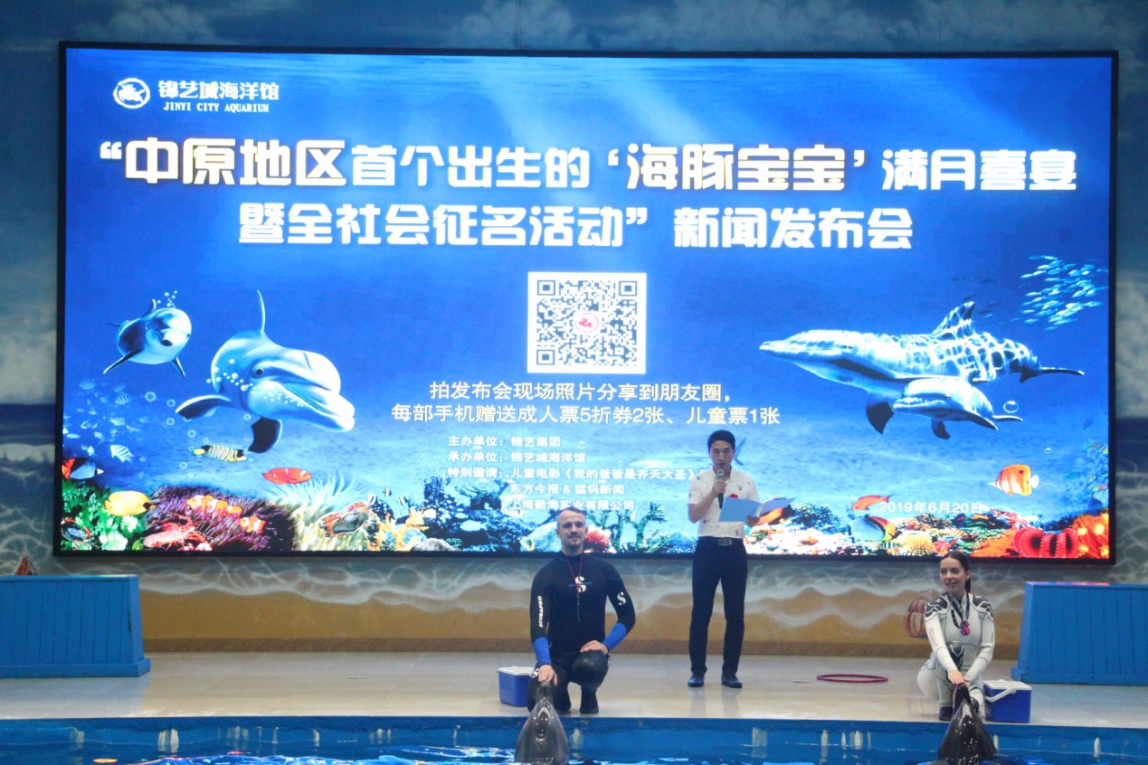中原地区出生的头胎小海豚满月了，全城送祝福温暖“满月喜宴”