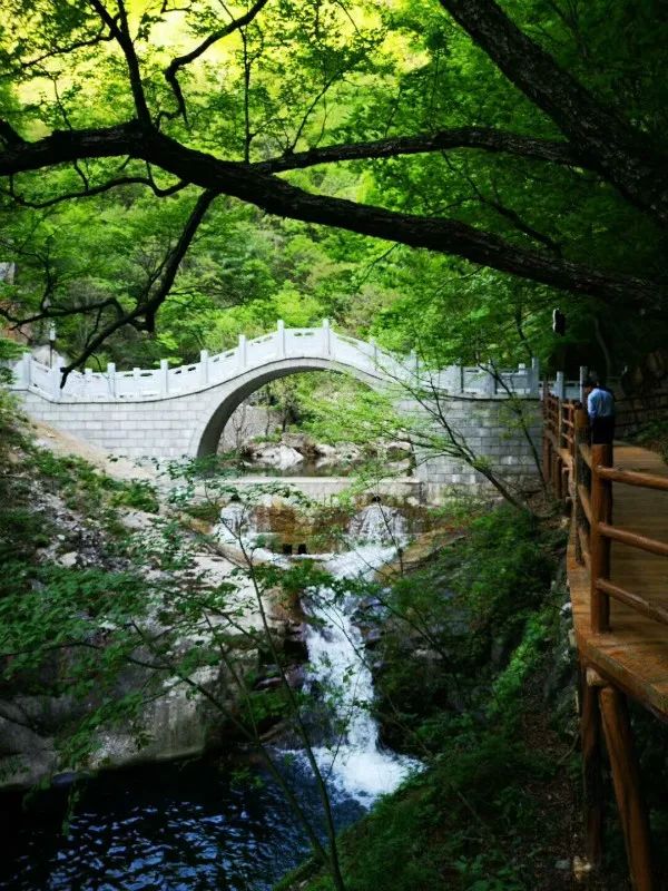 喜讯！天河大峡谷荣获河南避暑旅游目的地殊荣