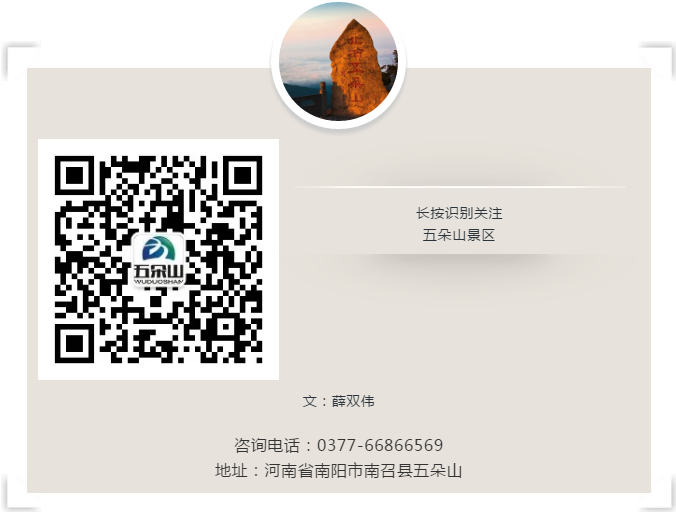 Dou Trave 五朵山，够胆你就来！来五朵山发抖音赢万元豪礼