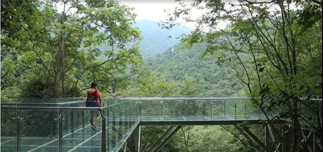 开夏旅行去哪儿玩？龙津溪地这个最全打卡地，您来过了吗？