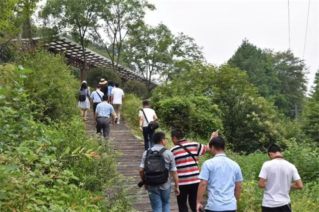 相约23度的夏天 文旅达人、主流官媒争相打卡鸡公山