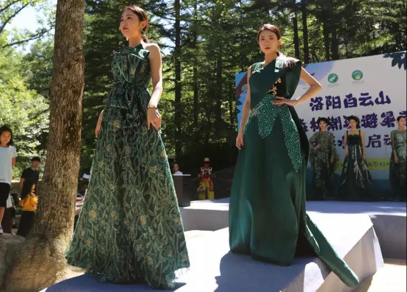不要和企鹅争地盘|洛阳白云山2019森林潮玩避暑季暨森林嬉水节让你清凉一夏
