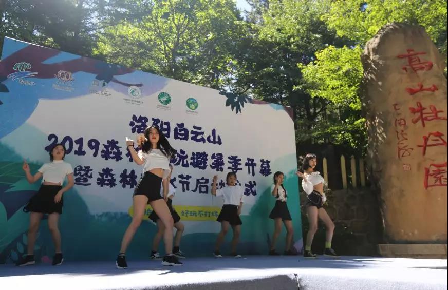 不要和企鹅争地盘|洛阳白云山2019森林潮玩避暑季暨森林嬉水节让你清凉一夏