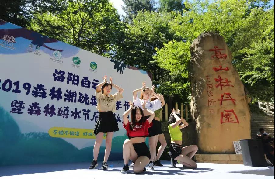 不要和企鹅争地盘|洛阳白云山2019森林潮玩避暑季暨森林嬉水节让你清凉一夏