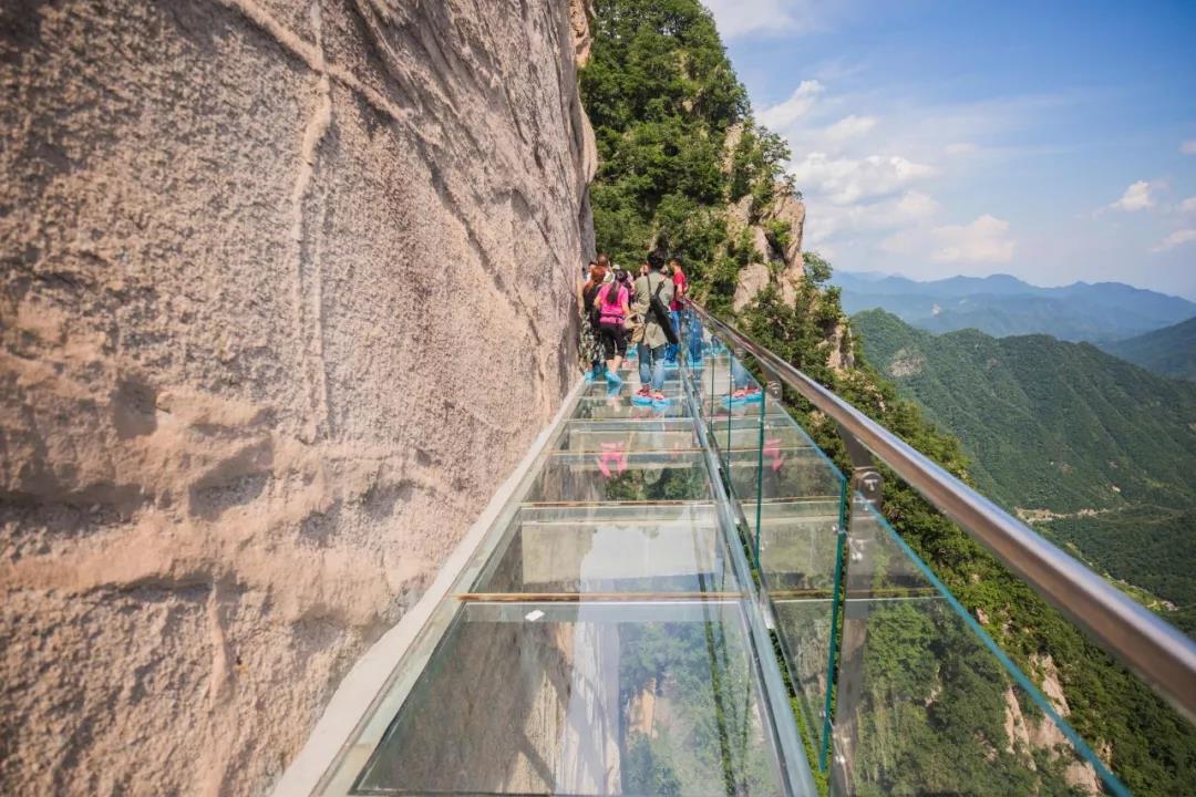 不要和企鹅争地盘|洛阳白云山2019森林潮玩避暑季暨森林嬉水节让你清凉一夏