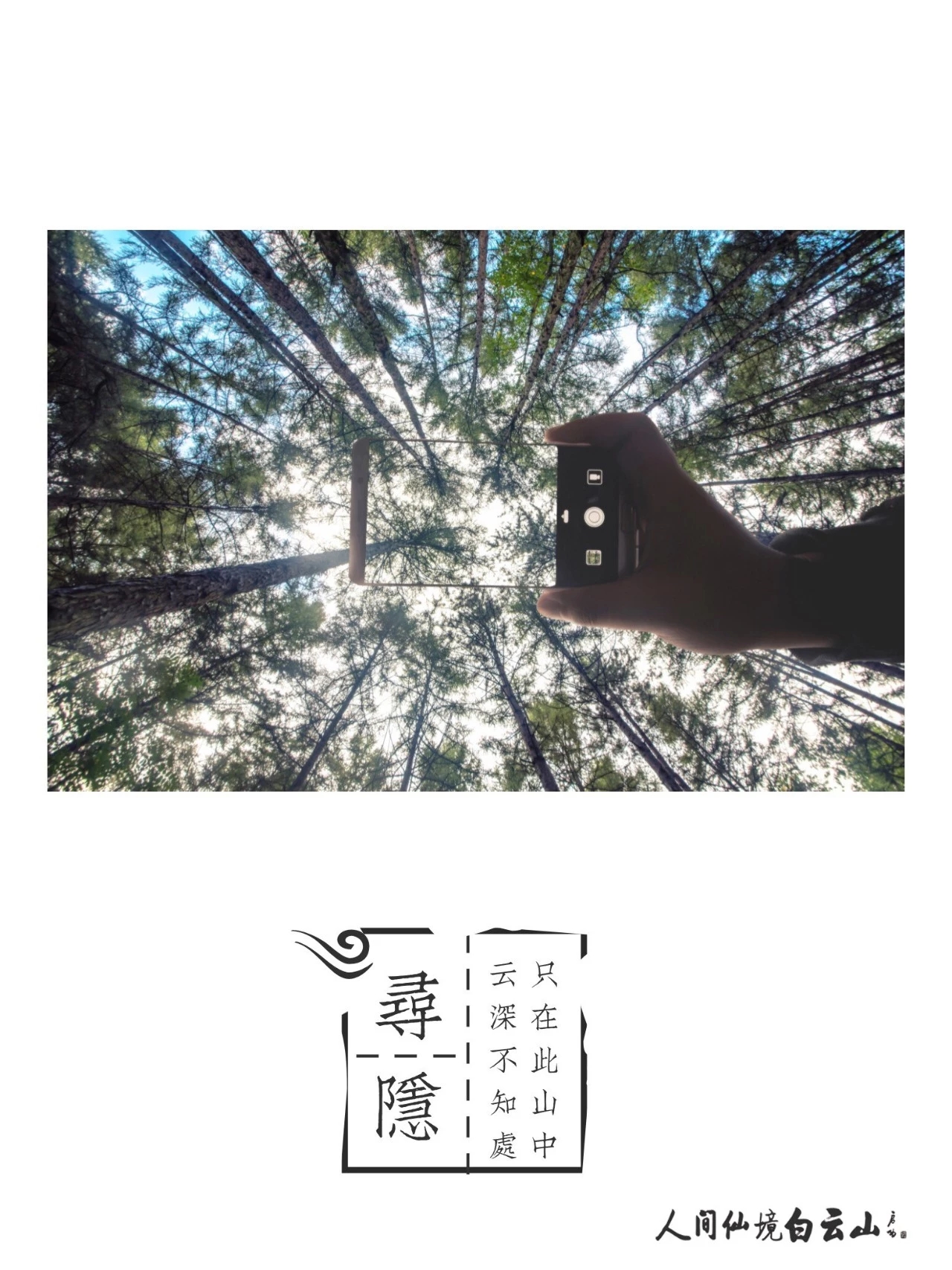 今日头伏，你有闲暇时光么？