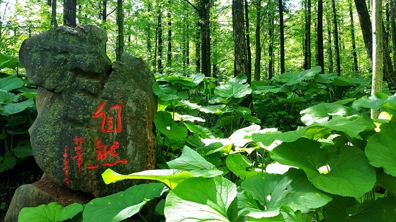 今日头伏，你有闲暇时光么？