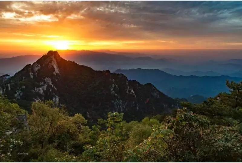 今日头伏，你有闲暇时光么？