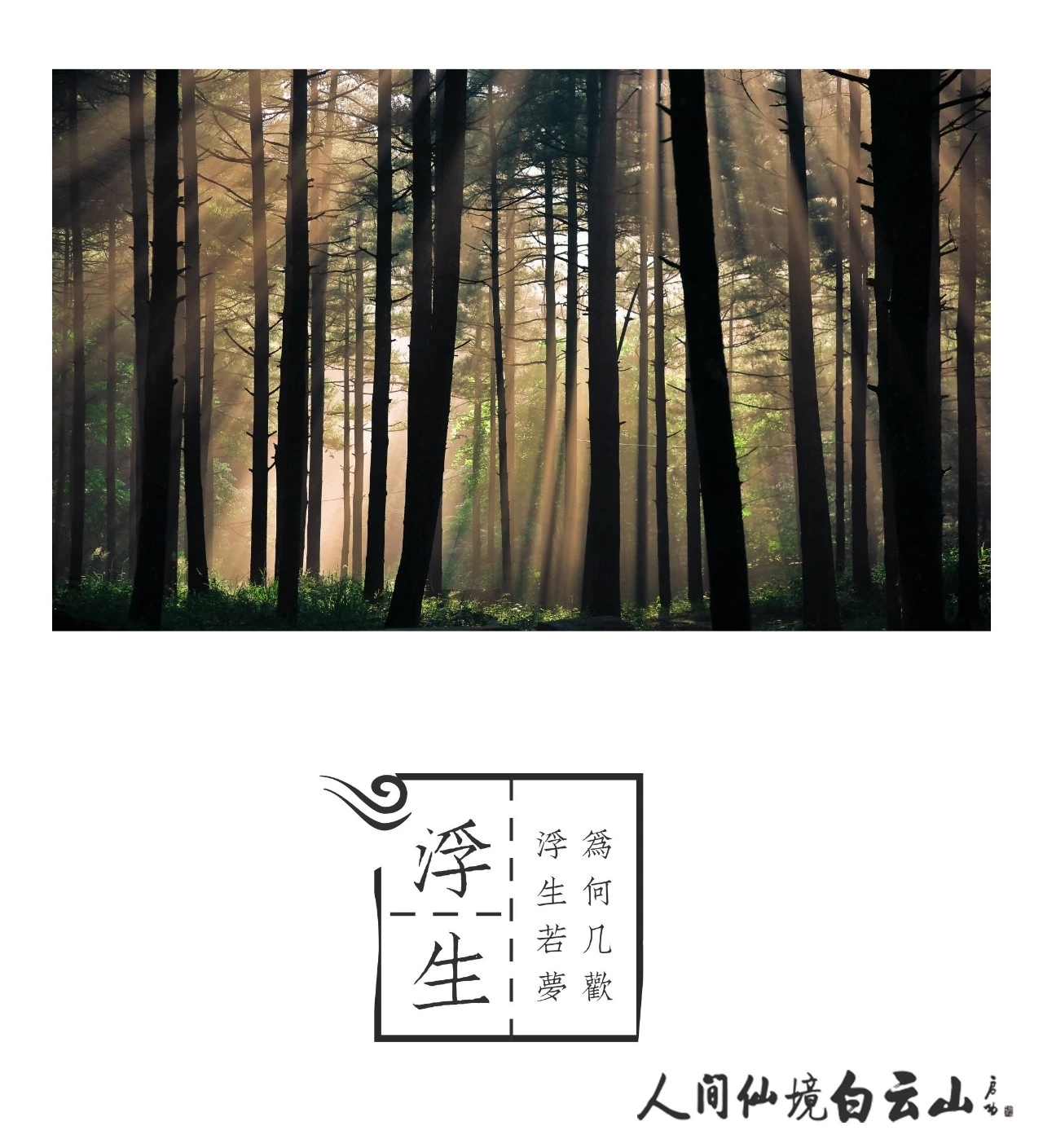 “旺季”不忘“充电”，加强旅游标准化培训，着力打造一流品牌