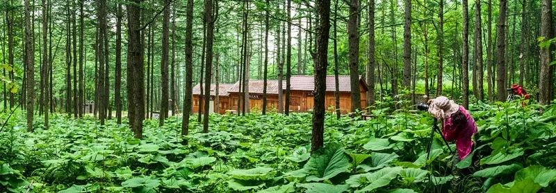 洛阳周边这12个避暑胜地，人少景美！夏天才20℃！
