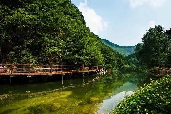 洛阳周边这12个避暑胜地，人少景美！夏天才20℃！