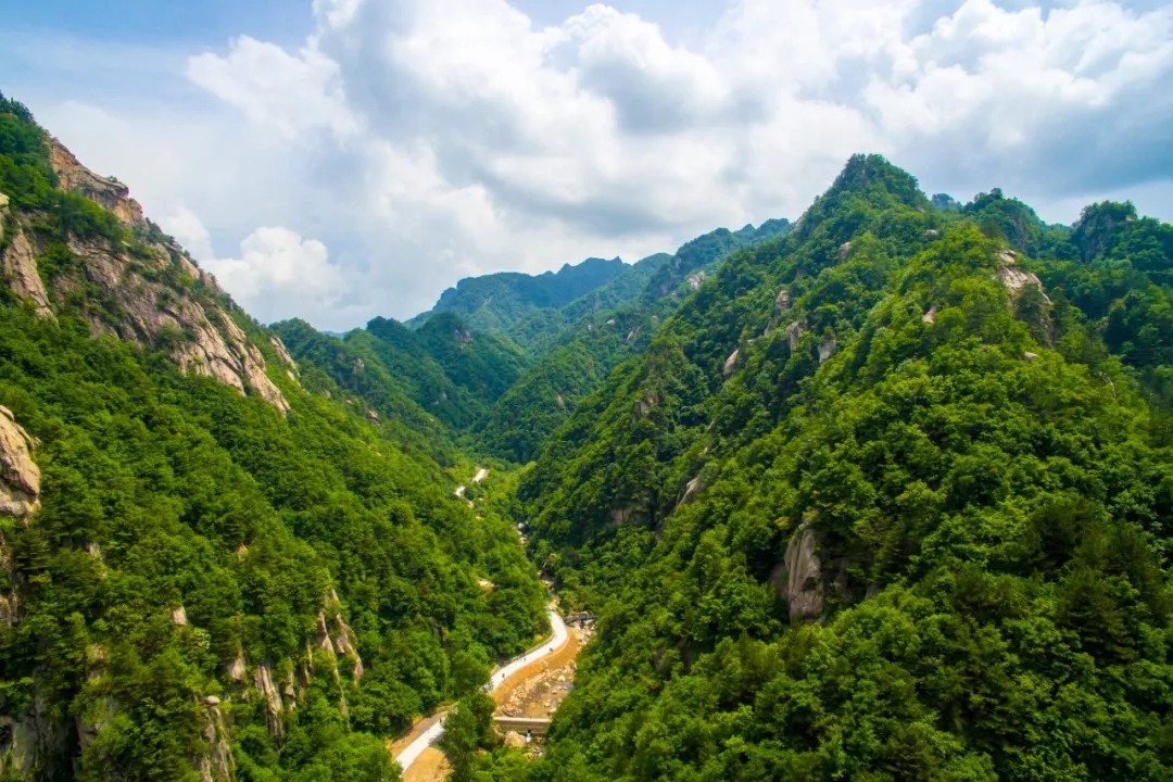 洛阳周边这12个避暑胜地，人少景美！夏天才20℃！