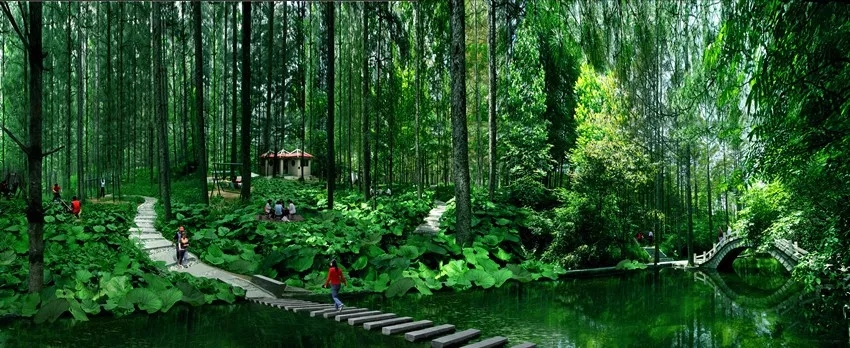 洛阳周边这12个避暑胜地，人少景美！夏天才20℃！
