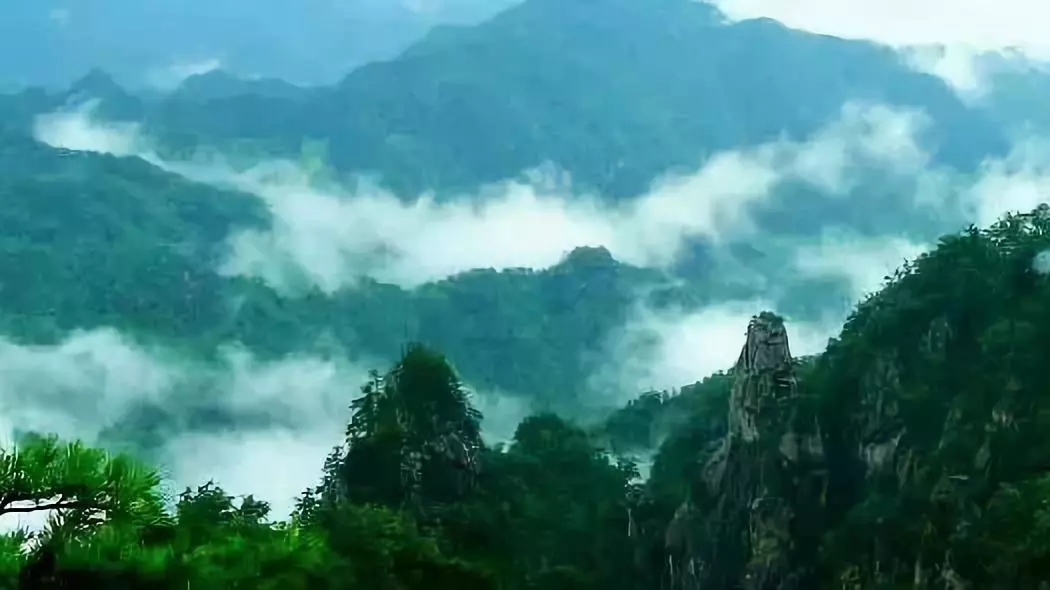 洛阳周边这12个避暑胜地，人少景美！夏天才20℃！