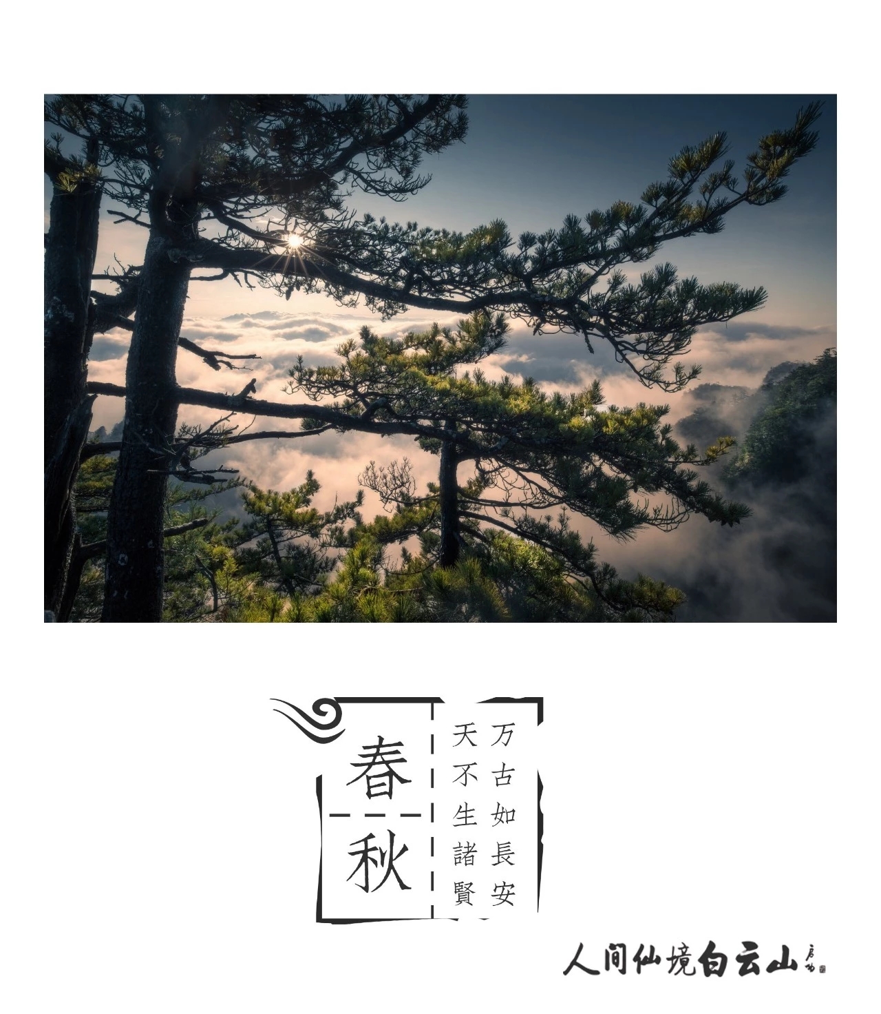 放心灵去旅行，任逍遥于风景