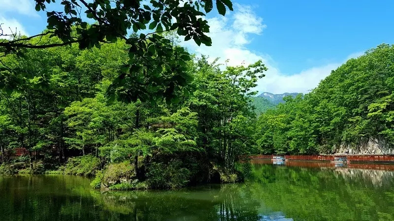 放心灵去旅行，任逍遥于风景
