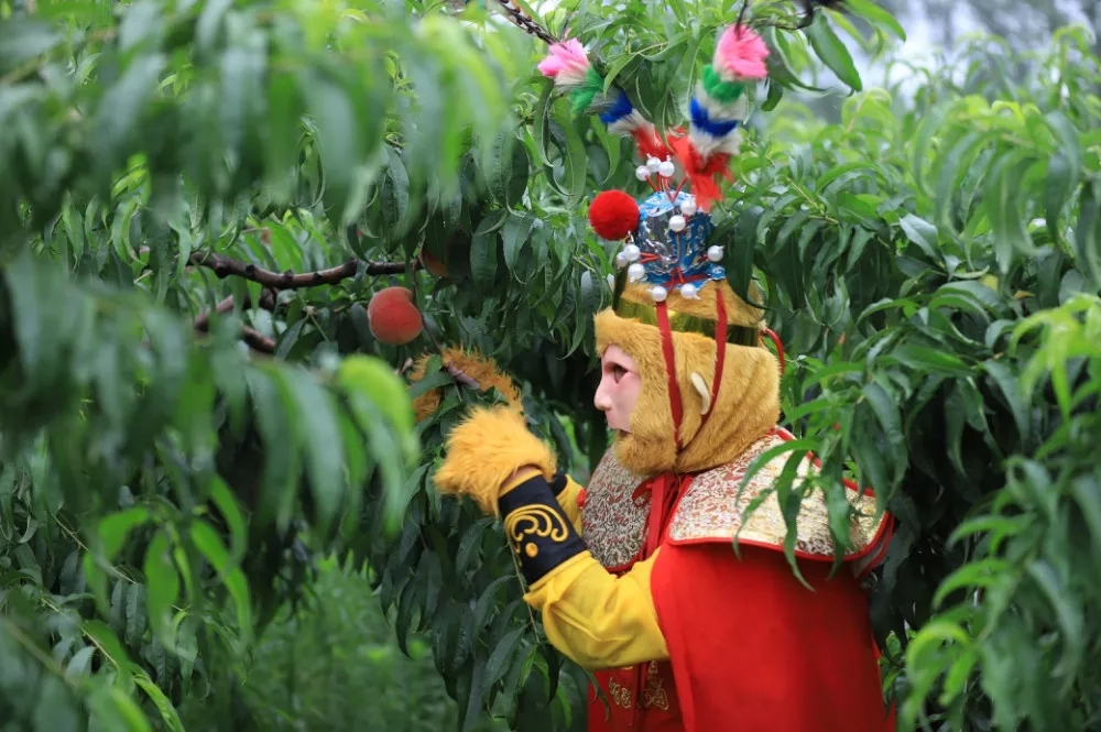 河南重渡沟：美猴王携众仙赠千斤蟠桃给顾客
