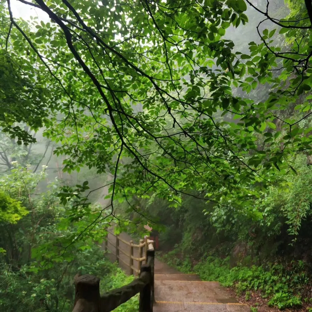 三伏天，热的慌，何处觅“清凉”？