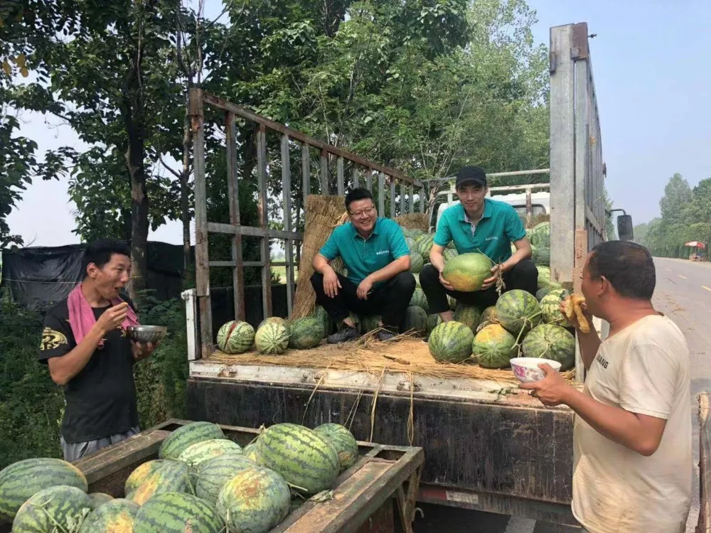 超燃！重渡沟万人免费吃西瓜大赛劲爆上演！