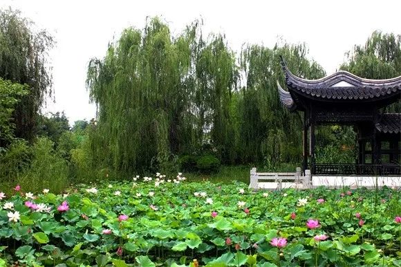 到绿博园享“避暑大餐”