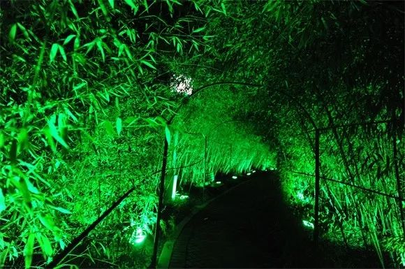 到绿博园享“避暑大餐”