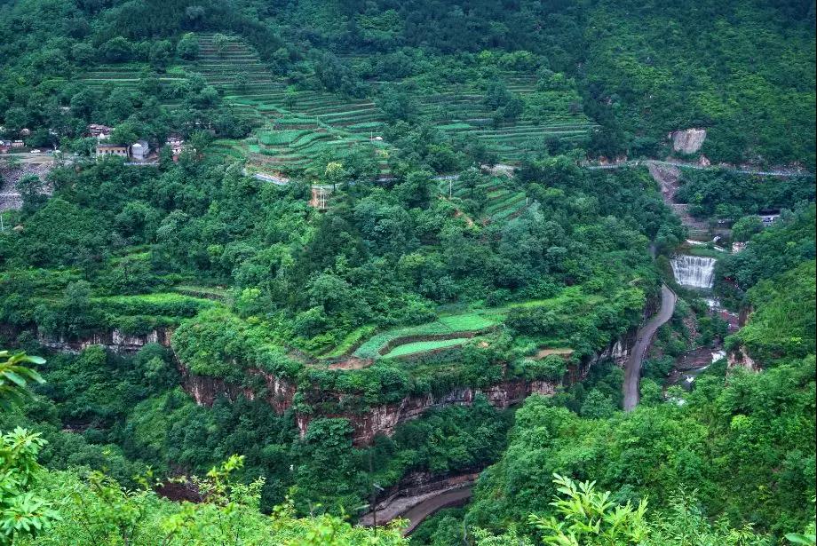太行大峡谷|夏木阴阴正可人