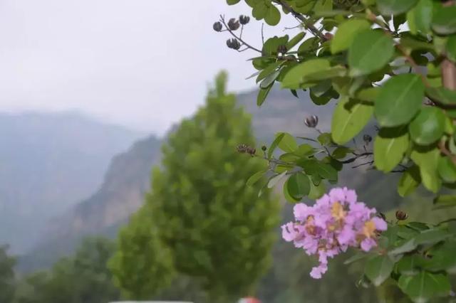  七月夏日炎炎，太行大峡谷漂流与盛夏超配哦！
