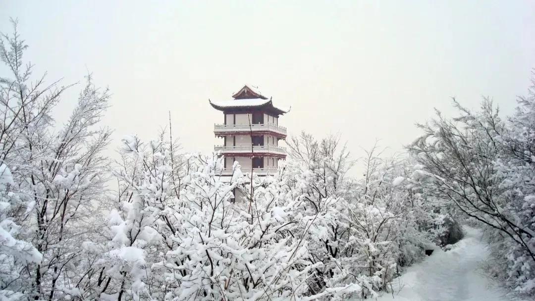 高温天看雪景，爽！