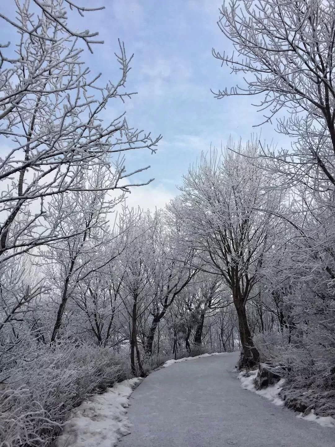 高温天看雪景，爽！