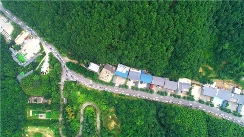 老君山入园率稳涨不降 全员服务一线保障游客出行