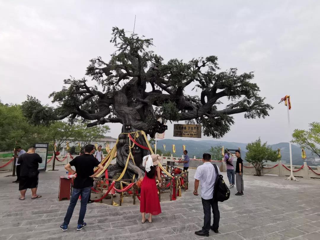 美呆了！小仙女空降黄河三峡玻璃吊桥！