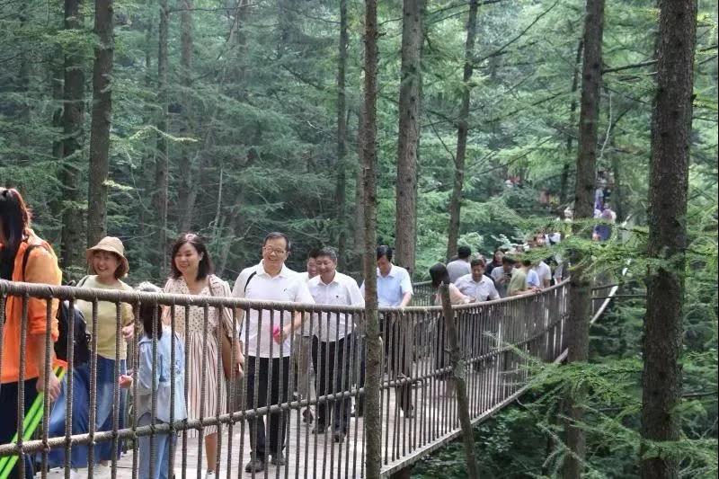 《奔流》文学院作家赴栾川龙峪湾景区举办大型采风活动