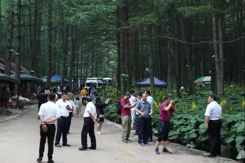 《奔流》文学院作家赴栾川龙峪湾景区举办大型采风活动