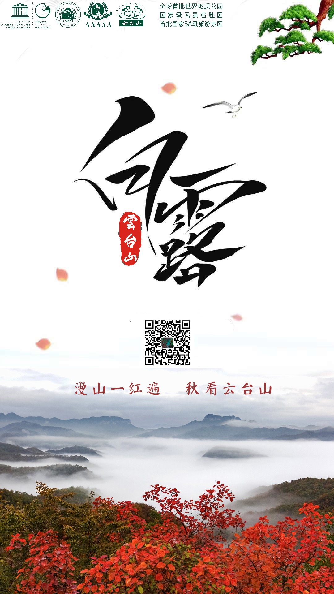 提前预告云台山万亩红叶盛况！