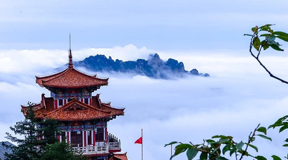 白云山你好色呦！我好喜欢