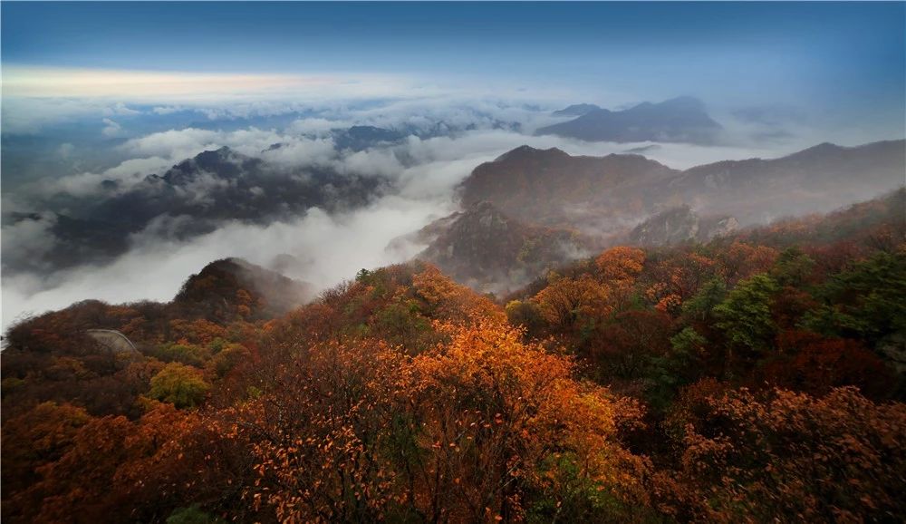 如何预防“秋燥综合症”你想知道的都在这里