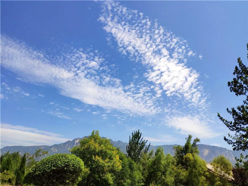 白露至，秋意浓，待仙沟中好风景！