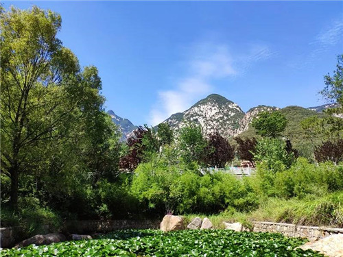 白露至，秋意浓，待仙沟中好风景！