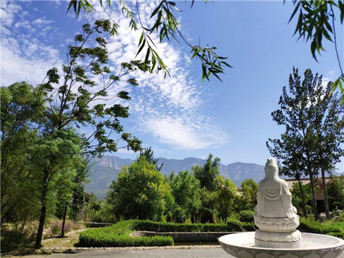 白露至，秋意浓，待仙沟中好风景！
