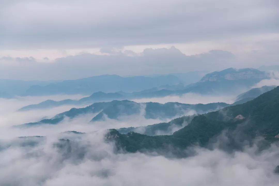 “大海漫延”，云台山掀起“看海”热潮！