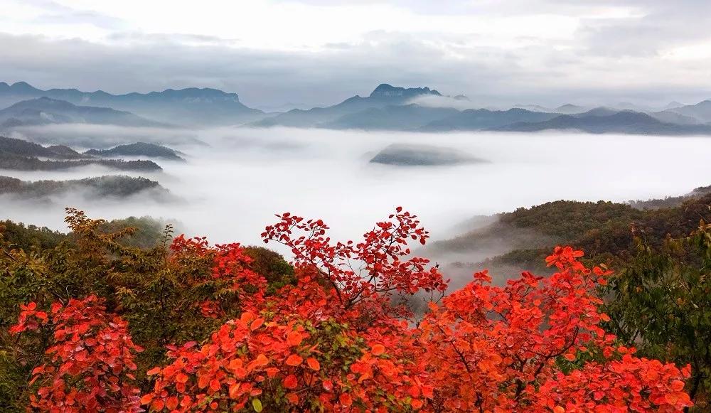 我爱惨了云台山的秋天！