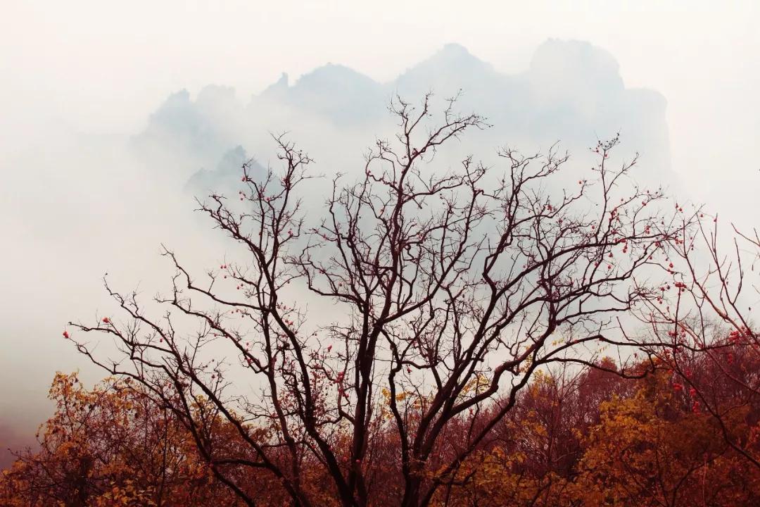 我爱惨了云台山的秋天！