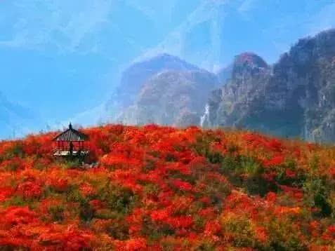 7天18万！这就是青天河的魅力！