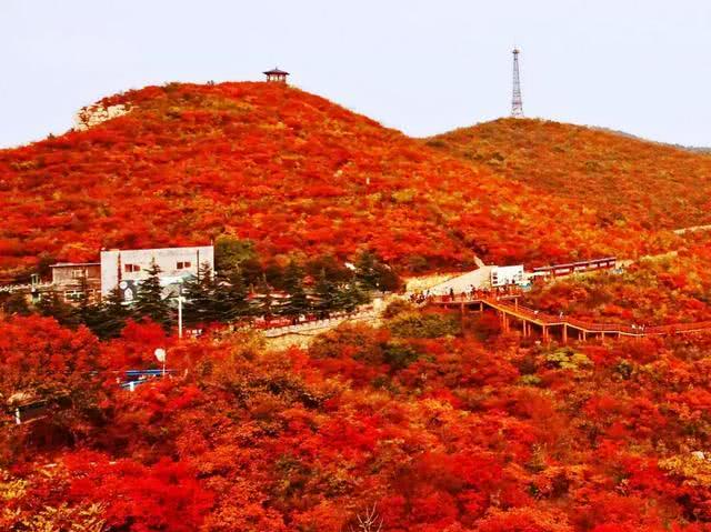7天18万！这就是青天河的魅力！