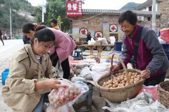 “十一”黄金周 淇县全域旅游完美收官