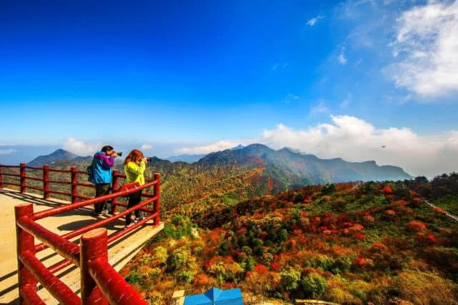 央视一天两场直播洛阳龙峪湾 中原第一峰美 如画！