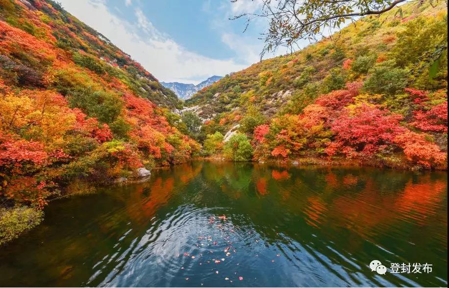 【音频】诗歌《红叶》 嵩山美景 红叶最浓