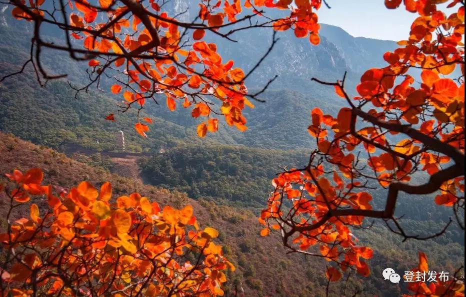 【音频】诗歌《红叶》 嵩山美景 红叶最浓