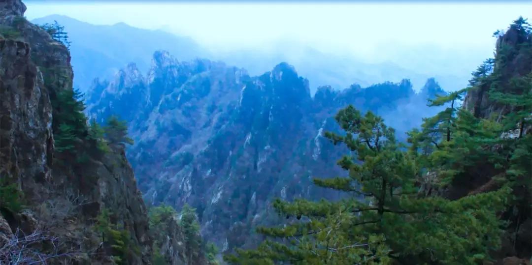 一定是特别的缘分，让这位老人与老君山结下了不解之缘