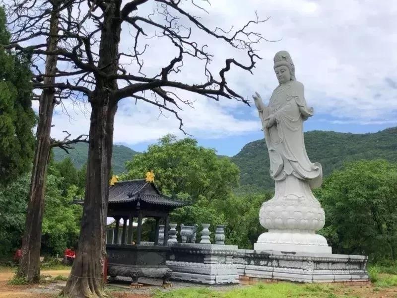 恭逢观音菩萨出家日 少林寺举行祈福法会